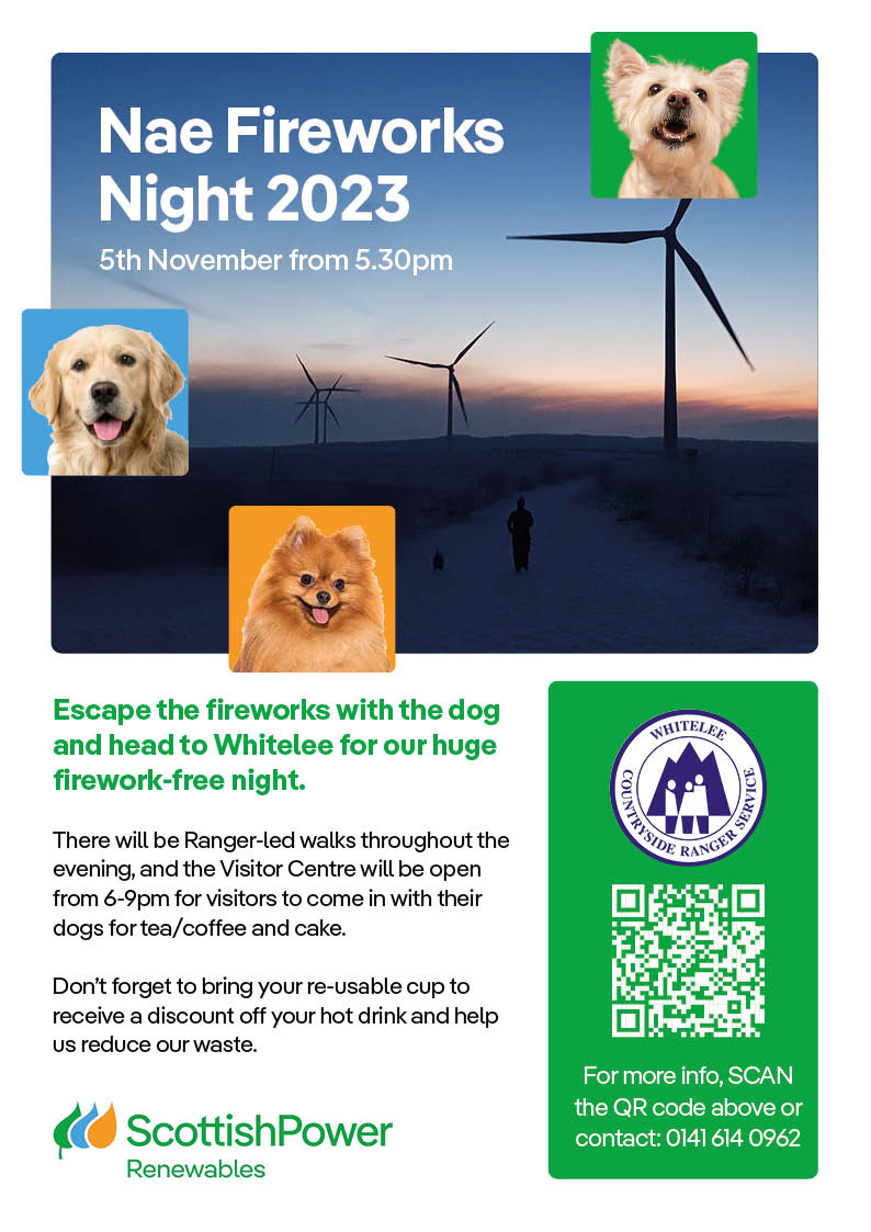 Whitelee Nae Fireworks Event
